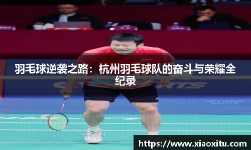 羽毛球逆袭之路：杭州羽毛球队的奋斗与荣耀全纪录